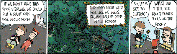 Wallace the Brave on Wednesday May 13, 2020 Comic Strip