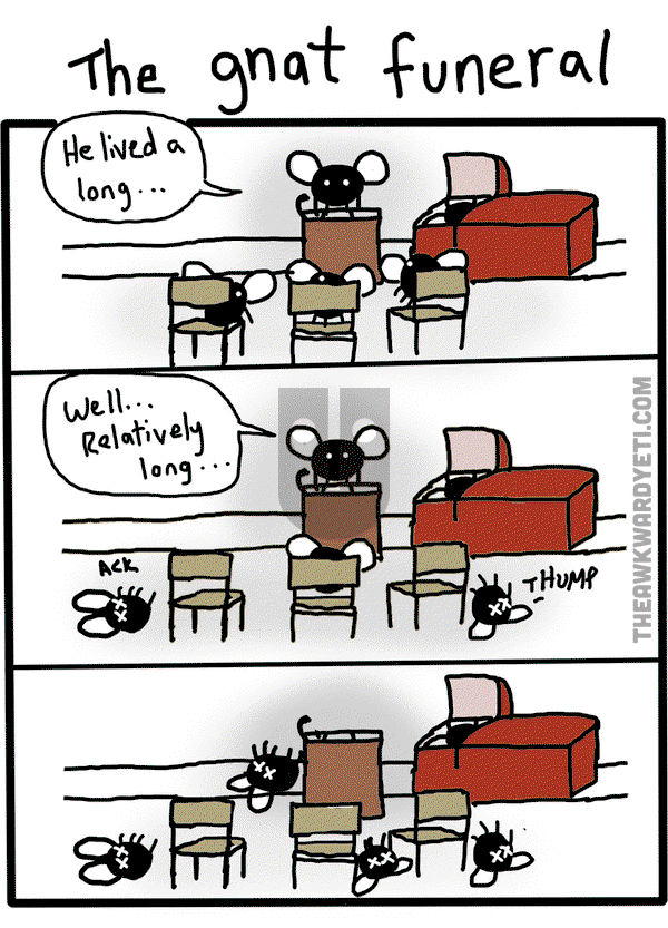 The Awkward Yeti on Tuesday September 23, 2014 Comic Strip