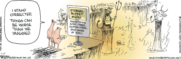Non Sequitur - Friday July 10, 2020 Comic Strip