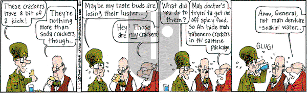 The Elderberries on Saturday May 31, 2025 Comic Strip