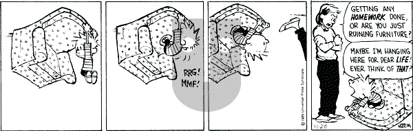 Calvin and Hobbes - Monday November 20, 1989 Comic Strip