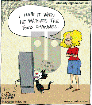 Kit 'N' Carlyle on Thursday September 3, 2009 Comic Strip