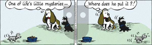 Fred Basset on Wednesday December 12, 2018 Comic Strip