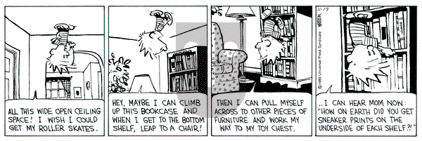 Calvin and Hobbes on Friday November 17, 1989 Comic Strip