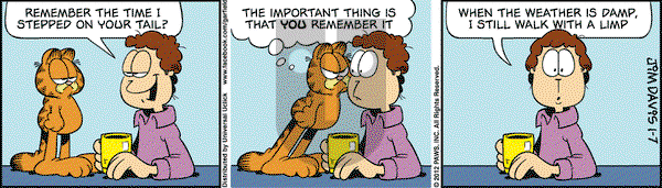 Garfield on Saturday January 7, 2012 Comic Strip