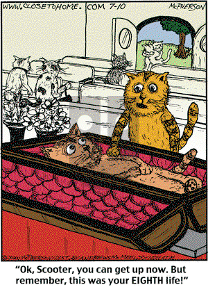 Close to Home on Wednesday July 10, 2019 Comic Strip