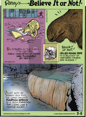 Ripley's Believe It or Not on Friday March 6, 2020 Comic Strip