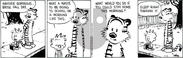 Calvin and Hobbes on Monday November 3, 2014 Comic Strip