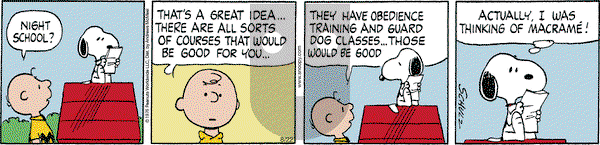 Peanuts - Tuesday August 22, 2023 Comic Strip