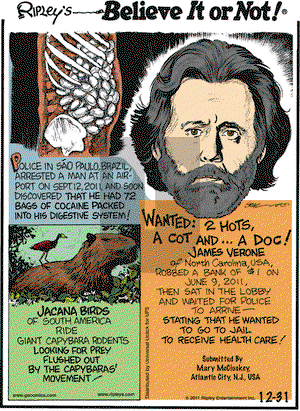 Ripley's Believe It or Not - Saturday December 31, 2011 Comic Strip