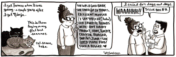 Amanda the Great on Friday October 31, 2025 Comic Strip