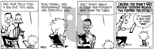 Calvin and Hobbes on Tuesday June 11, 1991 Comic Strip