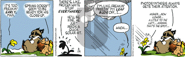 Over the Hedge on Wednesday March 24, 2010 Comic Strip