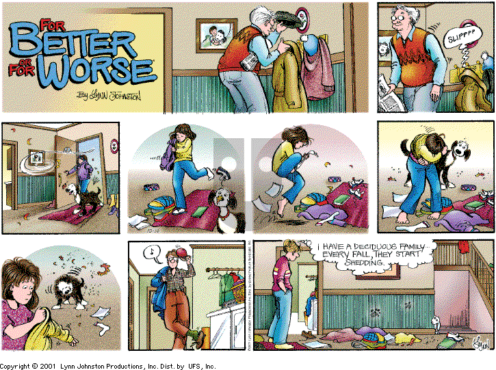 For Better or For Worse - Sunday October 14, 2001 Comic Strip