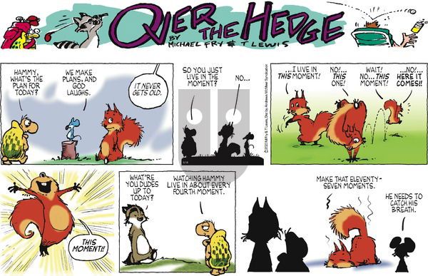 Over the Hedge on Sunday May 18, 2025 Comic Strip