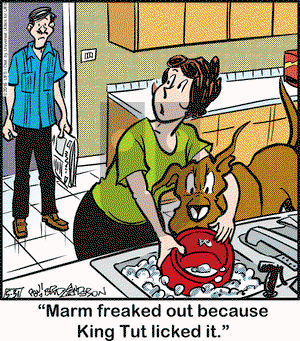 Marmaduke on Tuesday May 31, 2016 Comic Strip