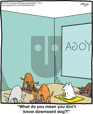 In the Bleachers on Tuesday September 17, 2019 Comic Strip