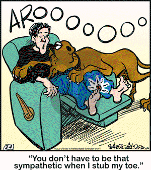 Marmaduke on Tuesday February 4, 2020 Comic Strip