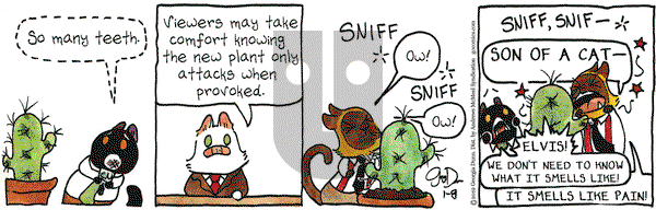 Breaking Cat News on Tuesday January 8, 2019 Comic Strip
