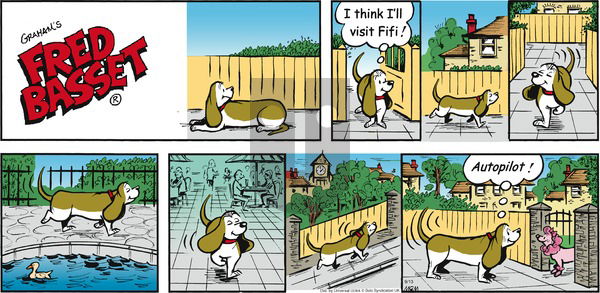 Fred Basset on Sunday September 13, 2015 Comic Strip