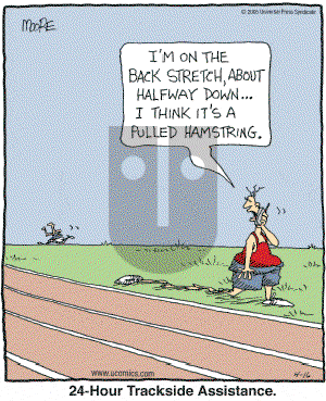 In the Bleachers - Saturday April 16, 2005 Comic Strip