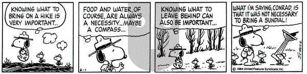 Peanuts on Friday June 1, 1984 Comic Strip