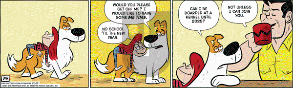 Rip Haywire on Tuesday December 17, 2024 Comic Strip