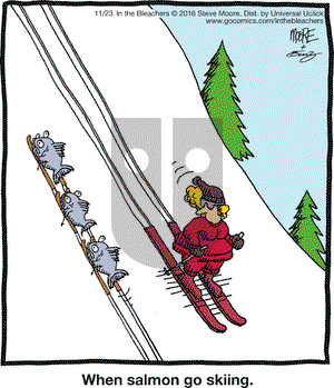 In the Bleachers on Wednesday November 23, 2016 Comic Strip