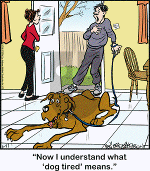 Marmaduke on Thursday January 11, 2018 Comic Strip