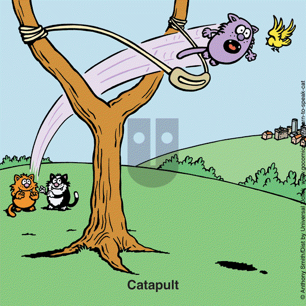 Learn to Speak Cat on Wednesday November 12, 2025 Comic Strip