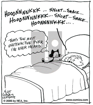 Kit 'N' Carlyle on Friday May 5, 2006 Comic Strip