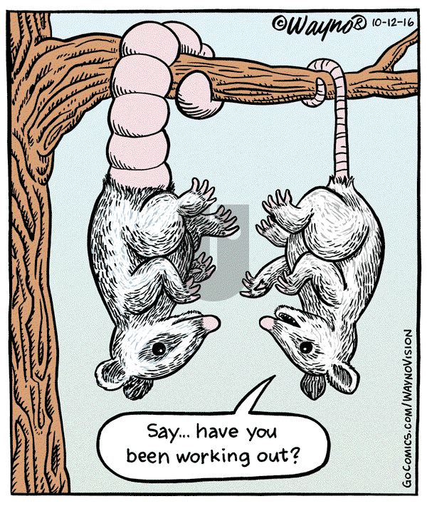 WaynoVision on Wednesday June 4, 2025 Comic Strip