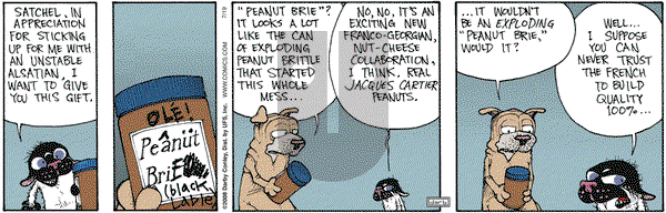 Get Fuzzy on Saturday July 19, 2008 Comic Strip