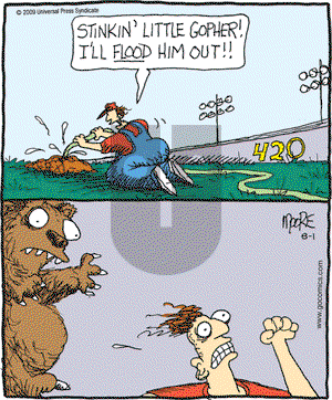 In the Bleachers - Saturday August 1, 2009 Comic Strip