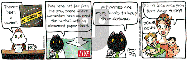 Breaking Cat News on Thursday July 5, 2018 Comic Strip