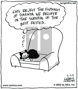 Kit 'N' Carlyle on Friday March 29, 2002 Comic Strip