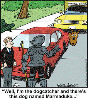 Marmaduke - Friday November 29, 2024 Comic Strip