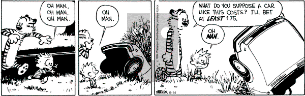 Calvin and Hobbes - Saturday June 14, 2014 Comic Strip