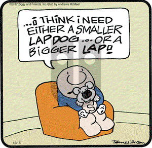 Ziggy on Friday December 15, 2017 Comic Strip
