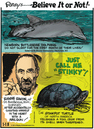 Ripley's Believe It or Not - Saturday January 18, 2014 Comic Strip
