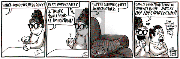 Amanda the Great - Tuesday November 5, 2024 Comic Strip