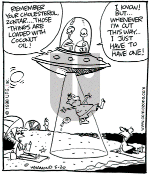 Reality Check on Wednesday May 20, 1998 Comic Strip