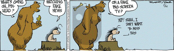 The Grizzwells on Monday May 21, 2018 Comic Strip