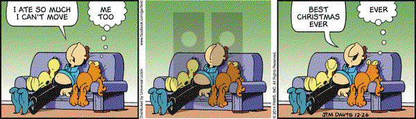 Garfield on Friday December 26, 2014 Comic Strip