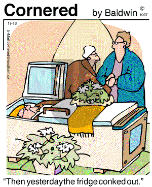 Cornered on Wednesday November 12, 1997 Comic Strip