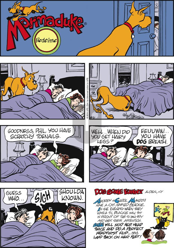 Marmaduke on Sunday August 31, 2014 Comic Strip