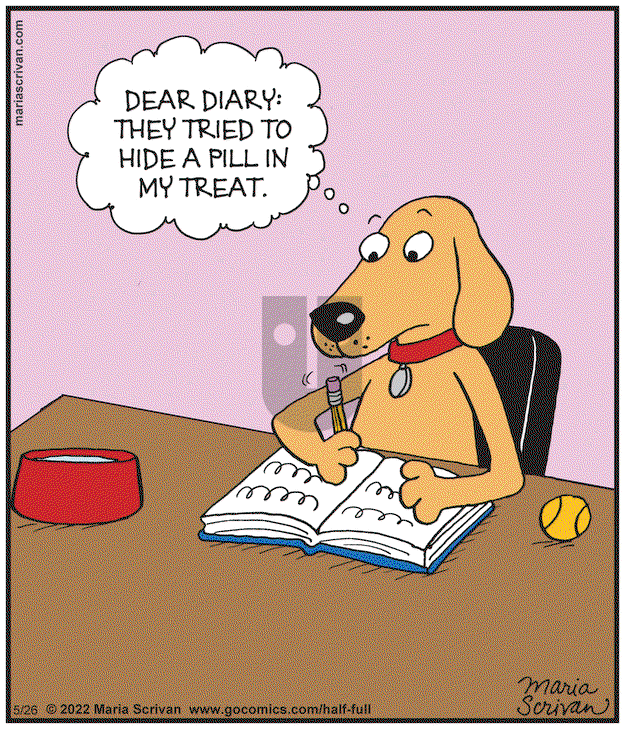 Half Full on Monday May 26, 2025 Comic Strip
