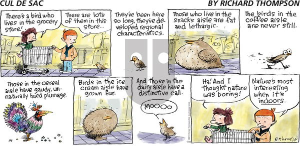 Cul de Sac on Sunday January 25, 2015 Comic Strip