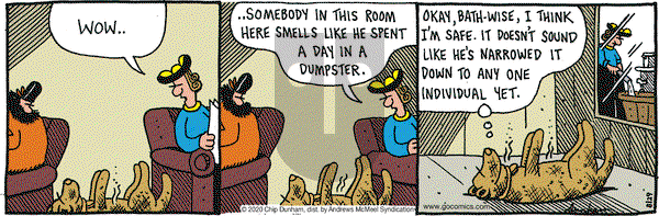 Overboard on Saturday August 29, 2020 Comic Strip