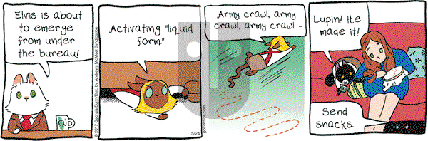 Breaking Cat News on Wednesday May 24, 2017 Comic Strip